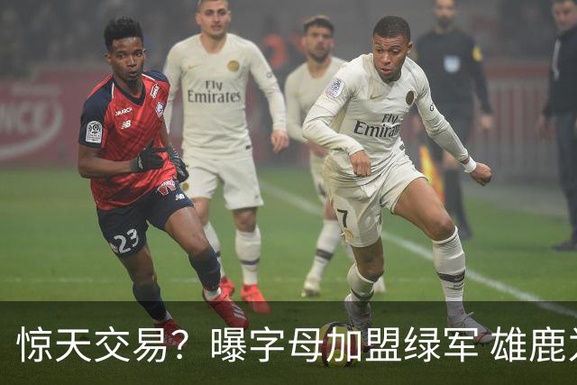 惊天交易？曝字母加盟绿军 雄鹿为布朗寻找第三方